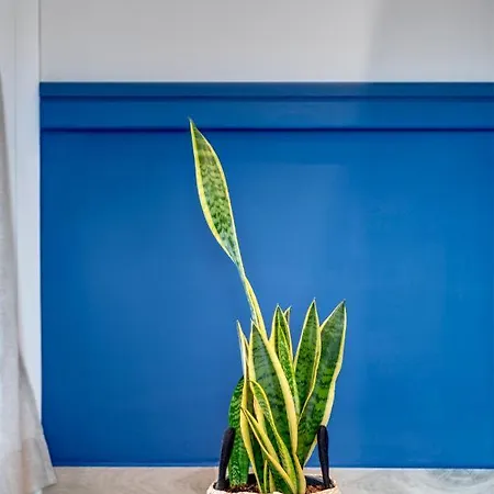 Apartment Polis Ermoupoli